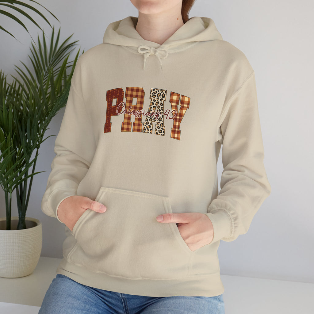 Plaid Pray Hoodie, Cozy Unisex Sweatshirt, Faith-Based Apparel, Perfect Gift for Holidays, Inspirational Clothing